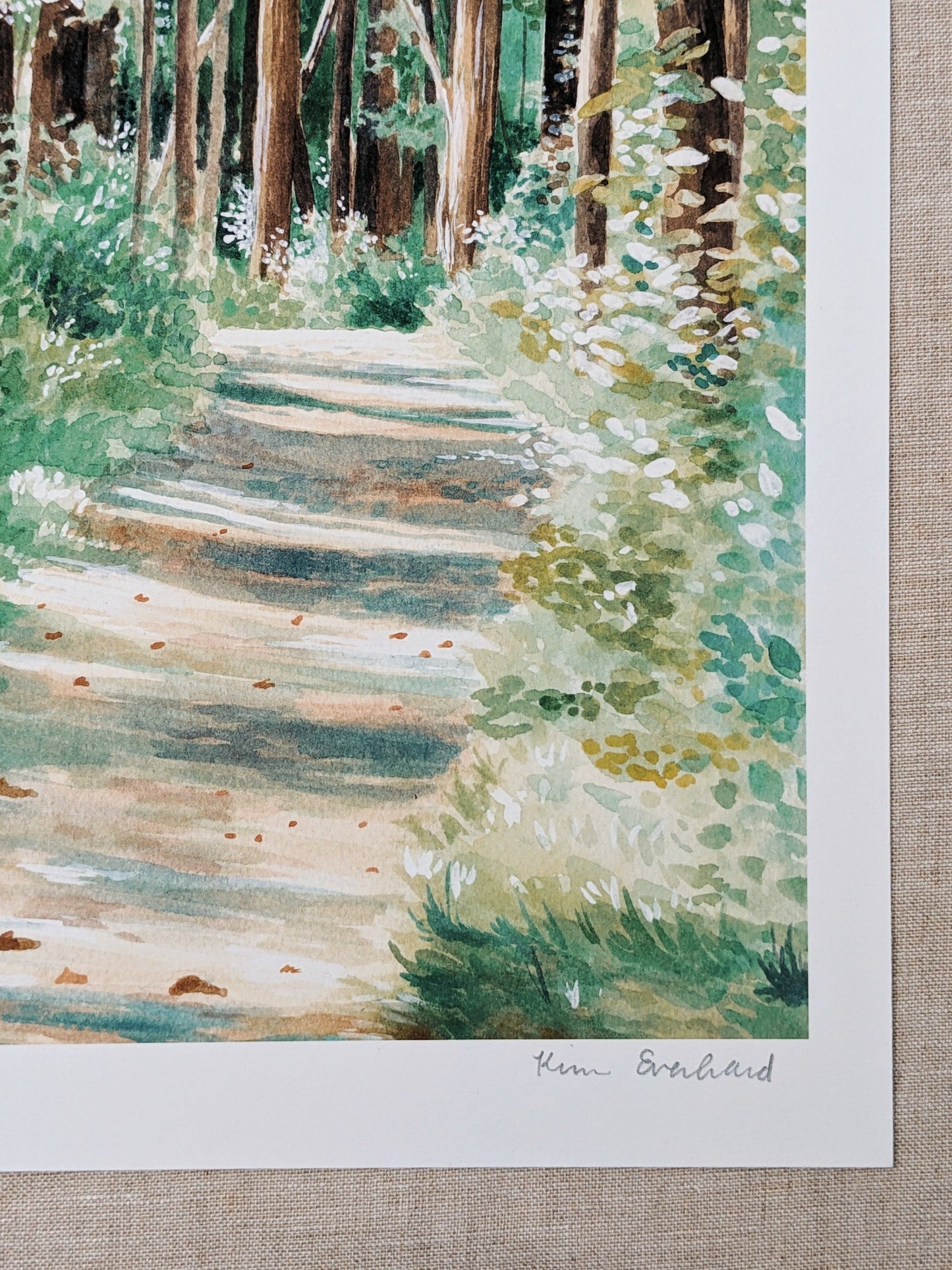 Summer Trails - Art Print - Kim Everhard Art