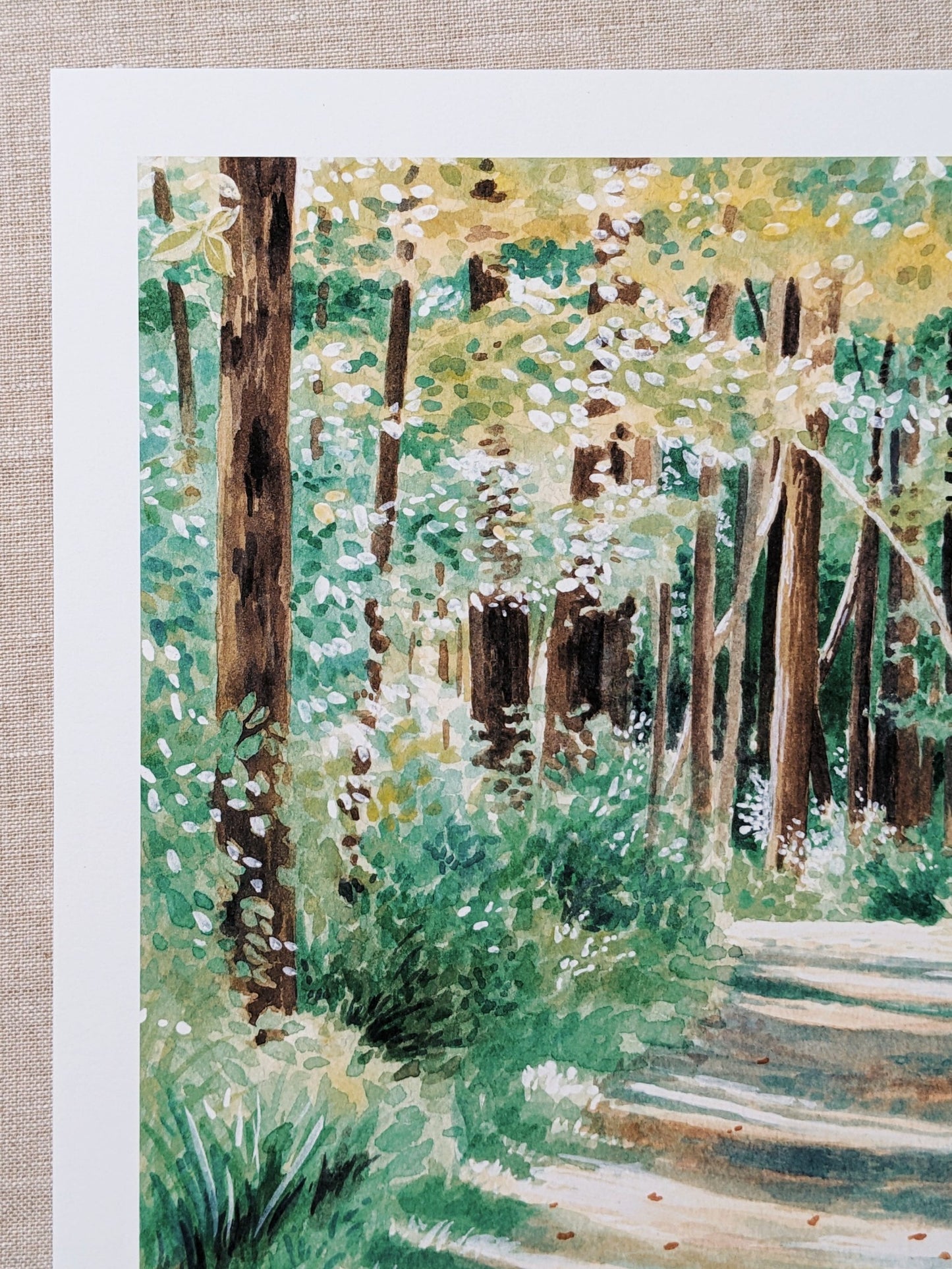 Summer Trails - Art Print - Kim Everhard Art