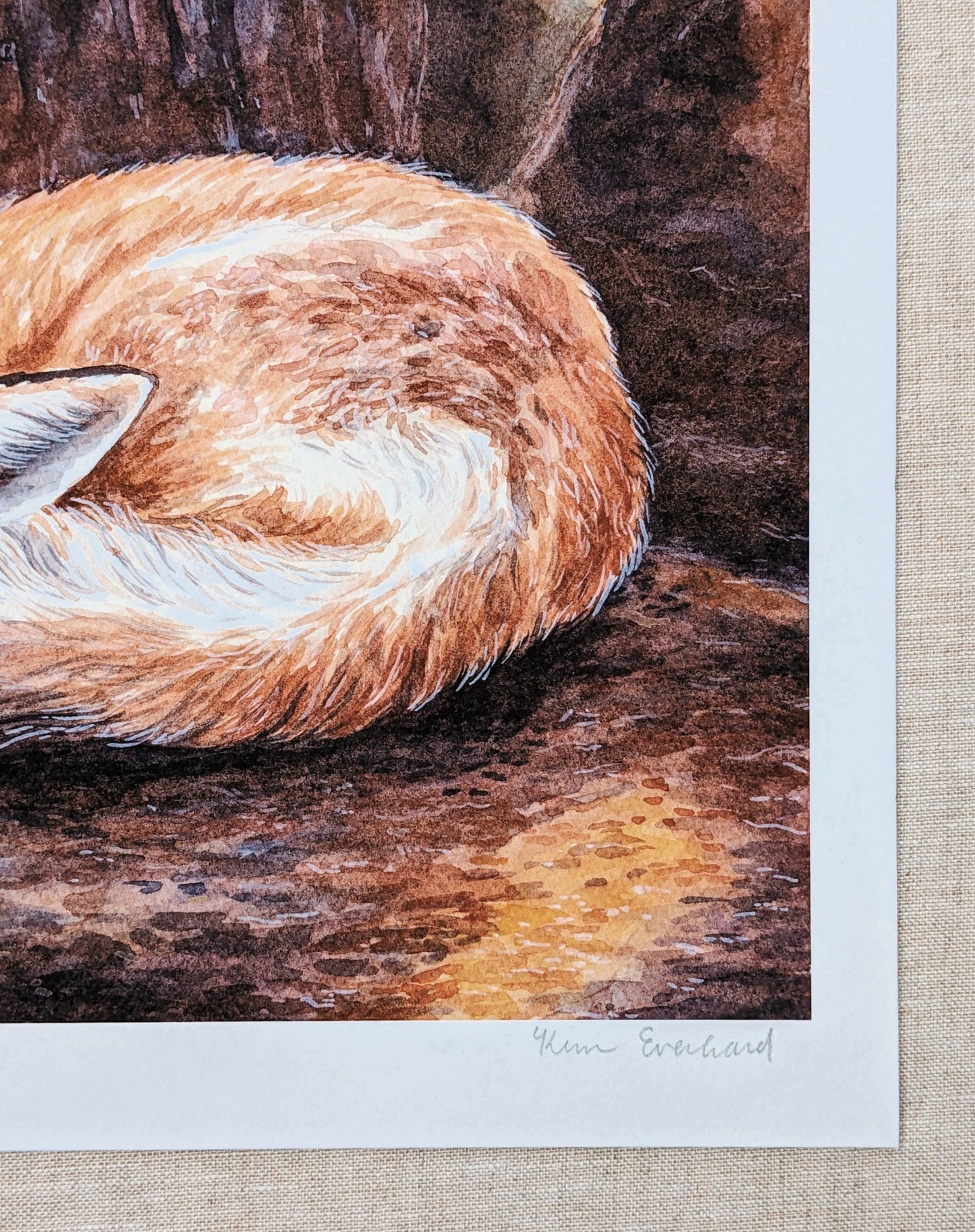 Sleeping Fox - Art Print - Kim Everhard Art