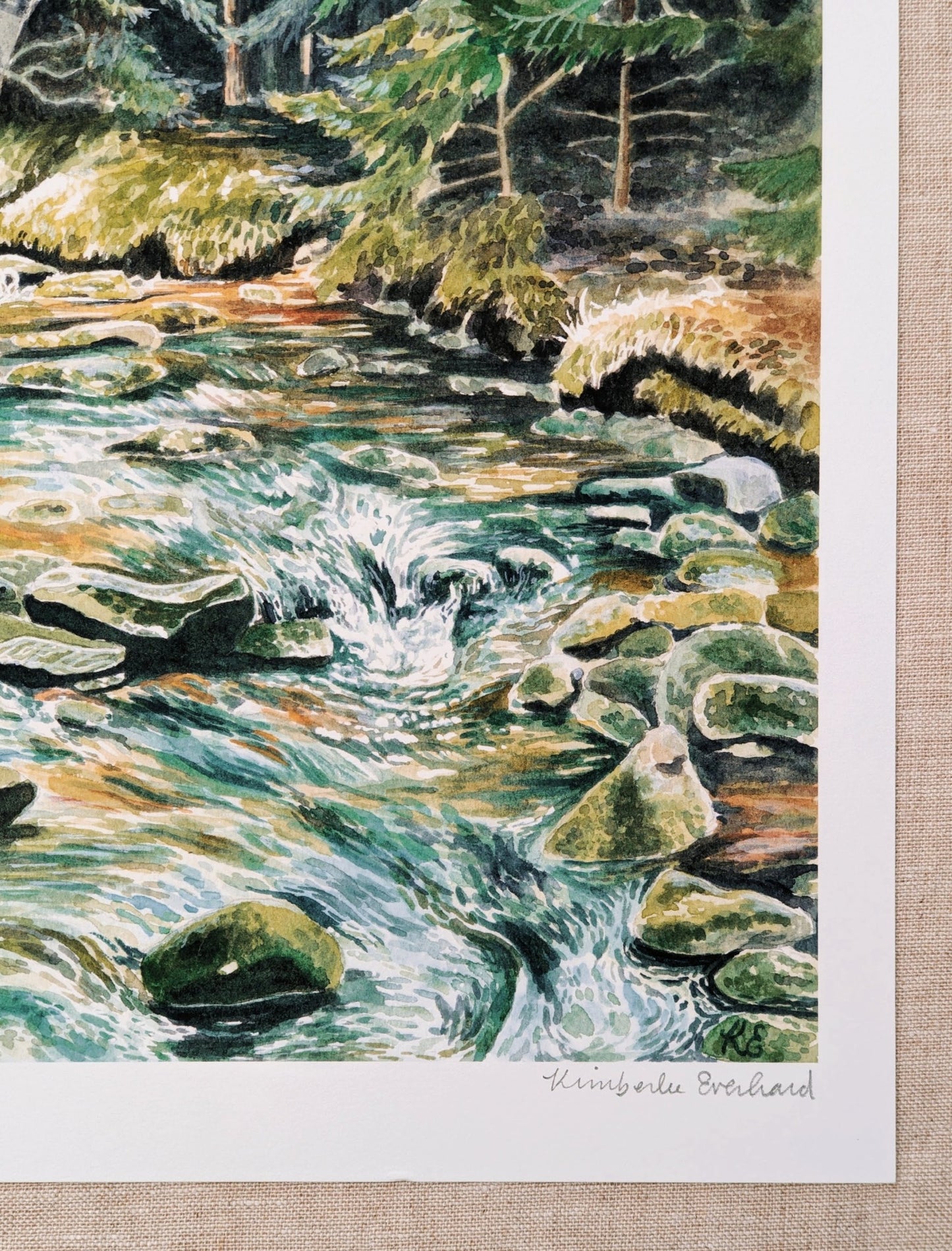 Woodland Serenity | Dolly Sods - Art Print - Kim Everhard Art