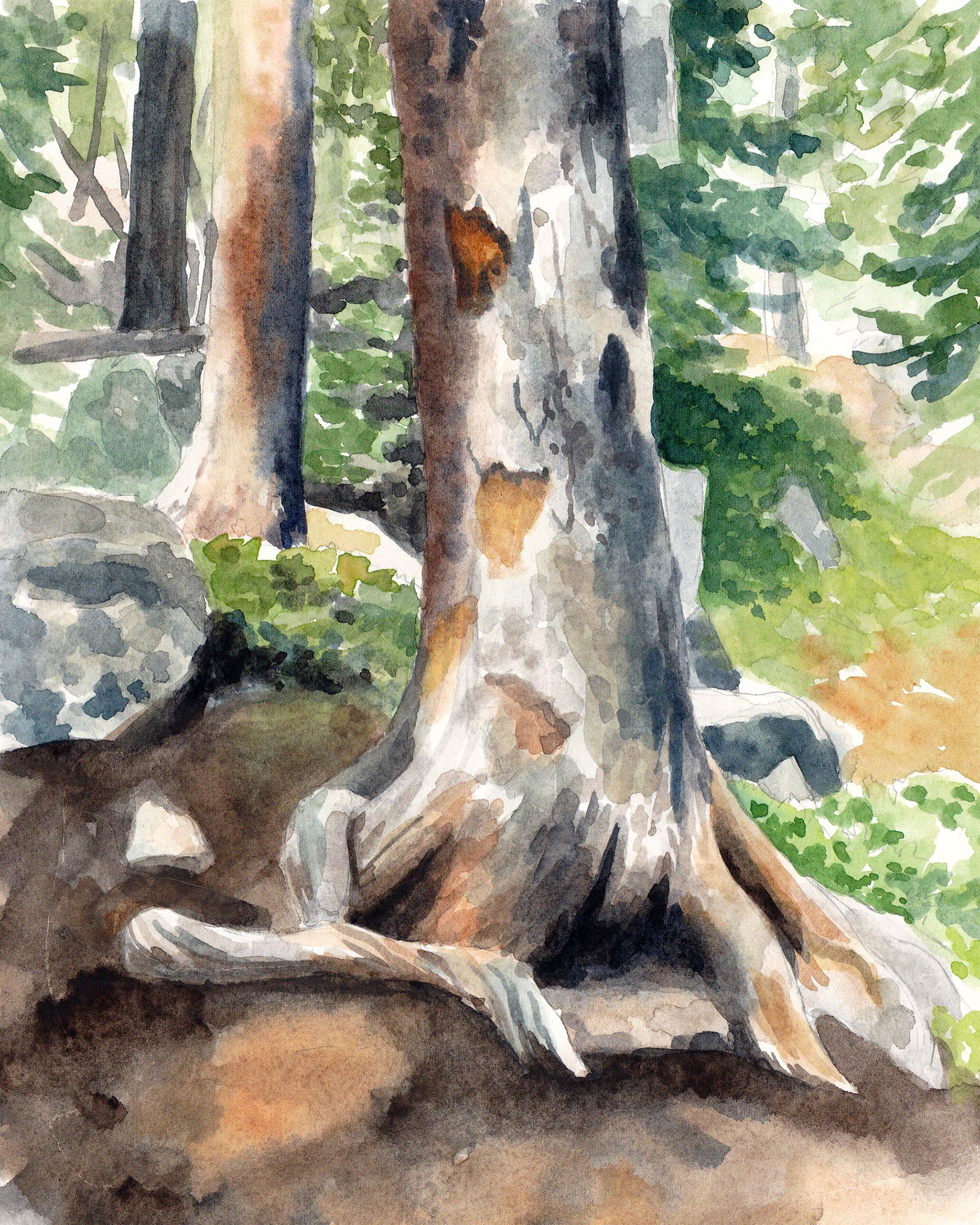 Storybook Woods - Original Painting - Kim Everhard Art