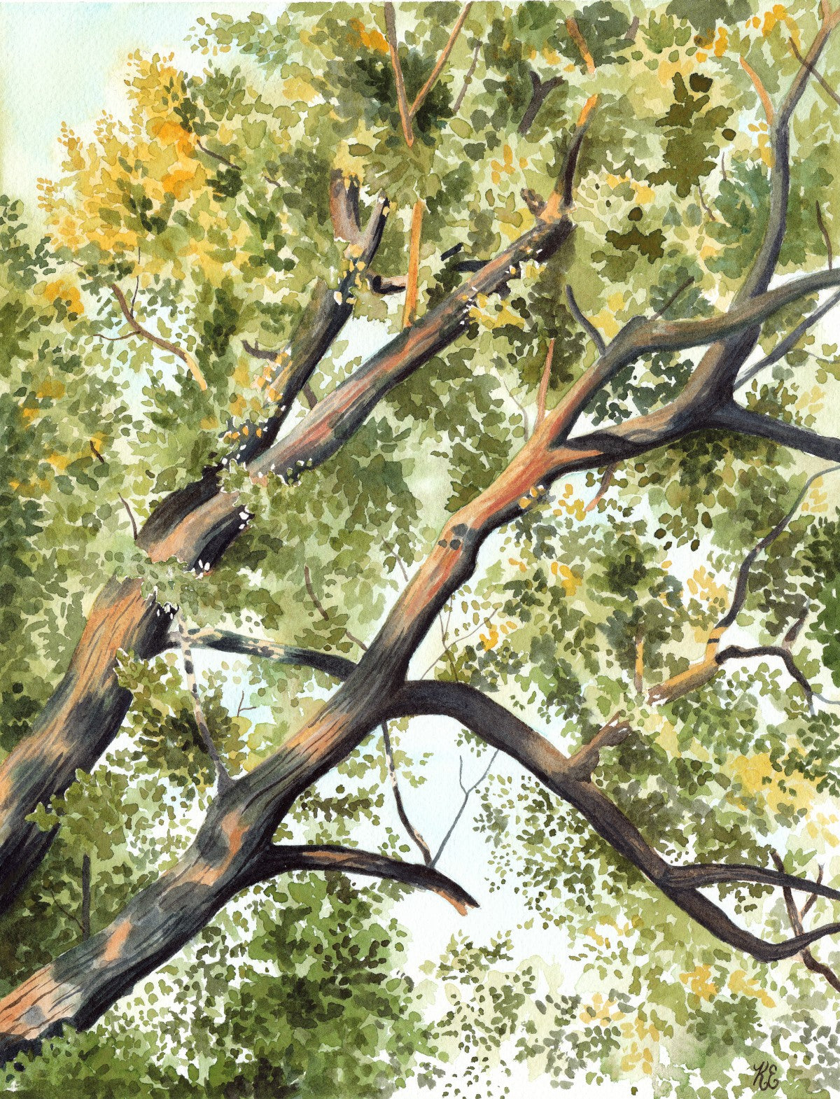 The Light Shines Through - Original Painting - 11x14" - Kim Everhard Art