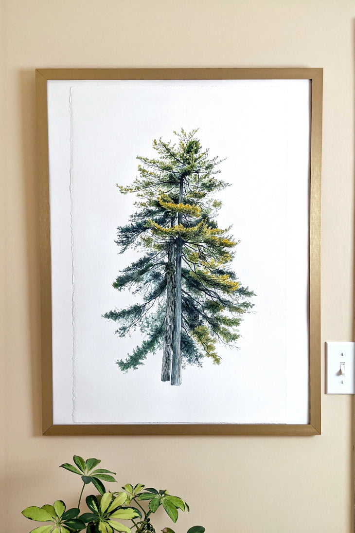 Pair of Pine Trees - Original Painting - 18x24" - Kim Everhard Art