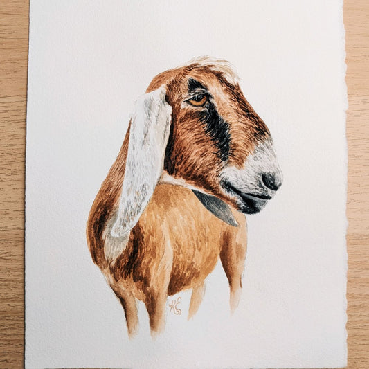 Painting a Goat! My Watercolor Process