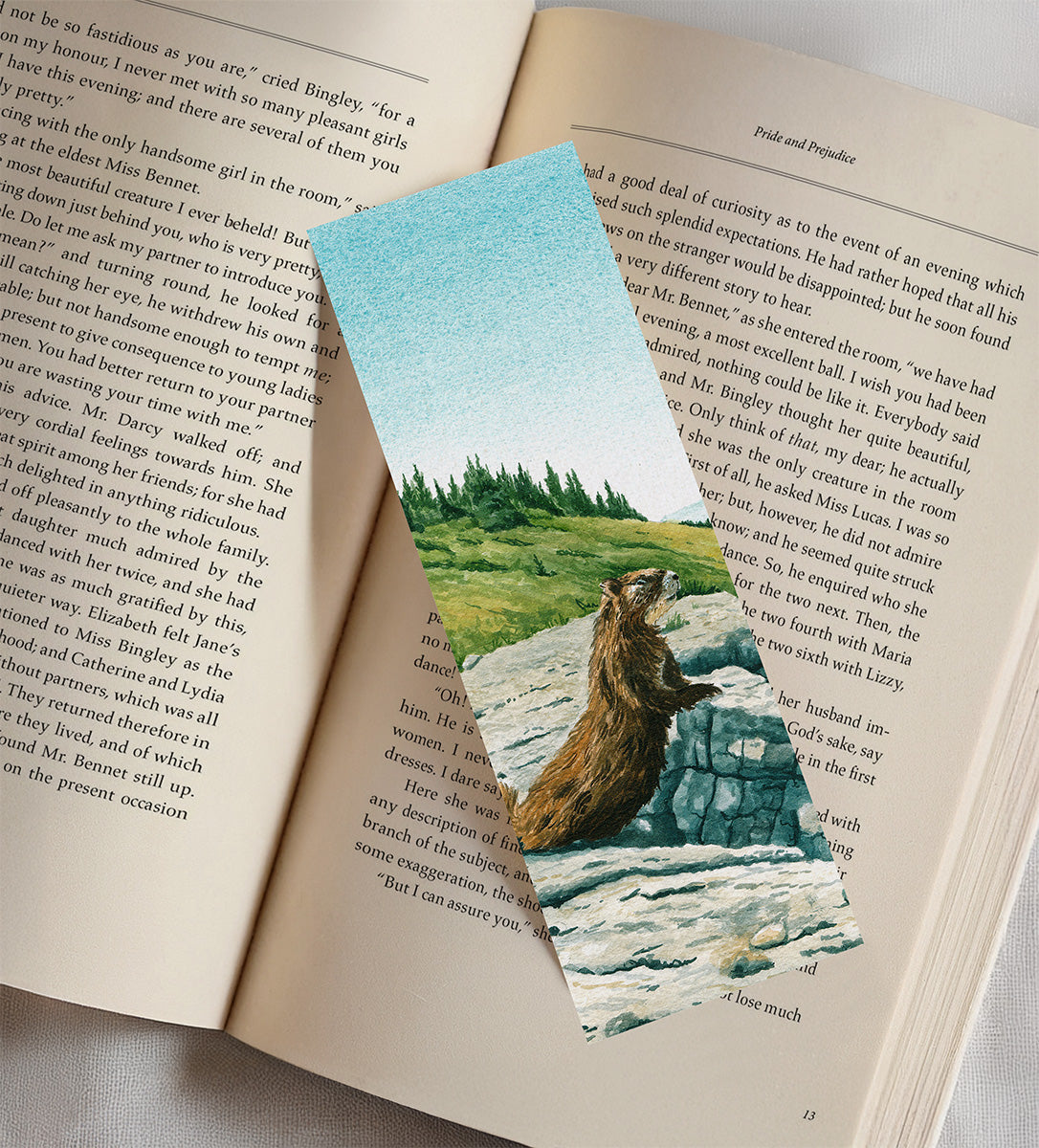 Marmot in the Tetons - Bookmark - Kim Everhard Art