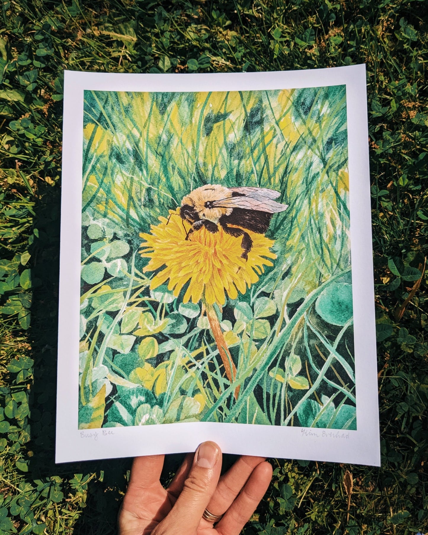 Busy Bee | Fine Art Print - Kim Everhard Art