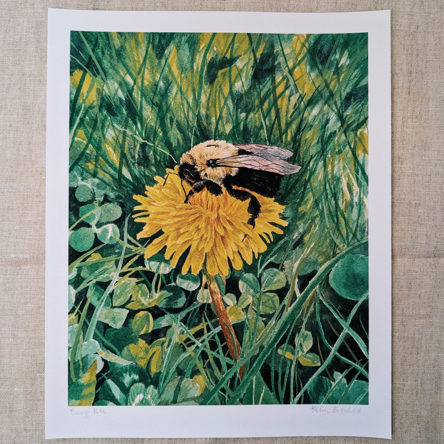 Busy Bee | Fine Art Print - Kim Everhard Art