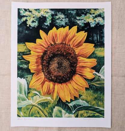Sunflower | Fine Art Print - Kim Everhard Art