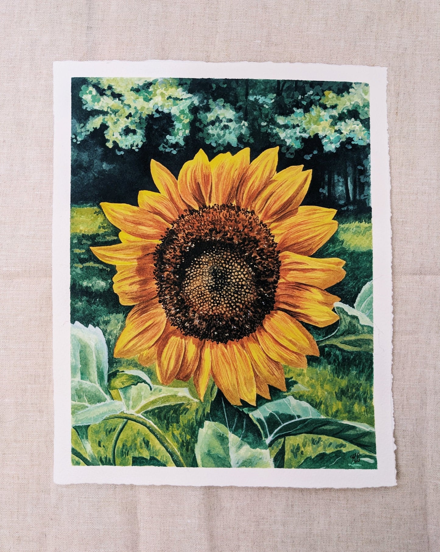 Sunflower - Original Watercolor - Kim Everhard Art