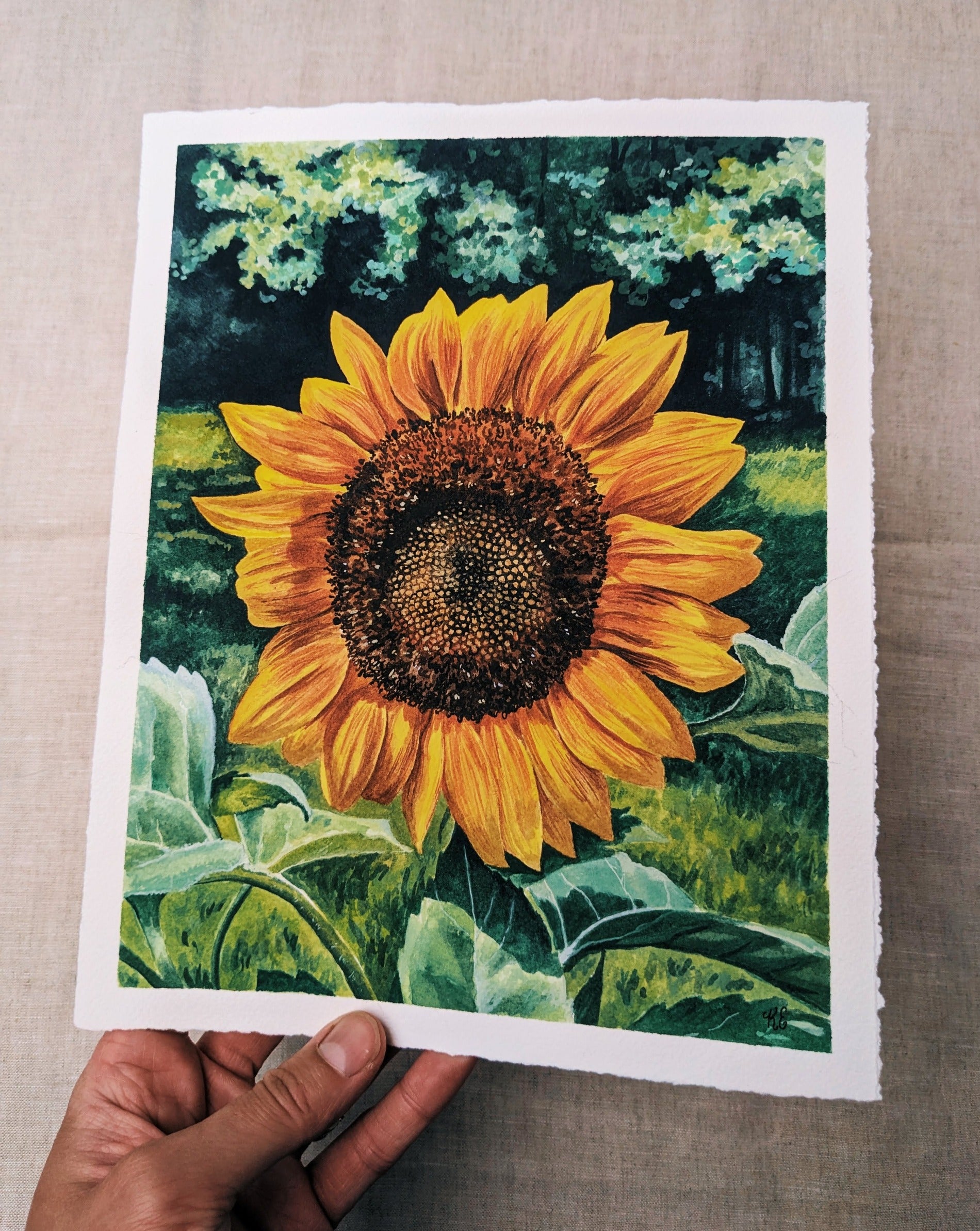 Sunflower - Original Watercolor - Kim Everhard Art