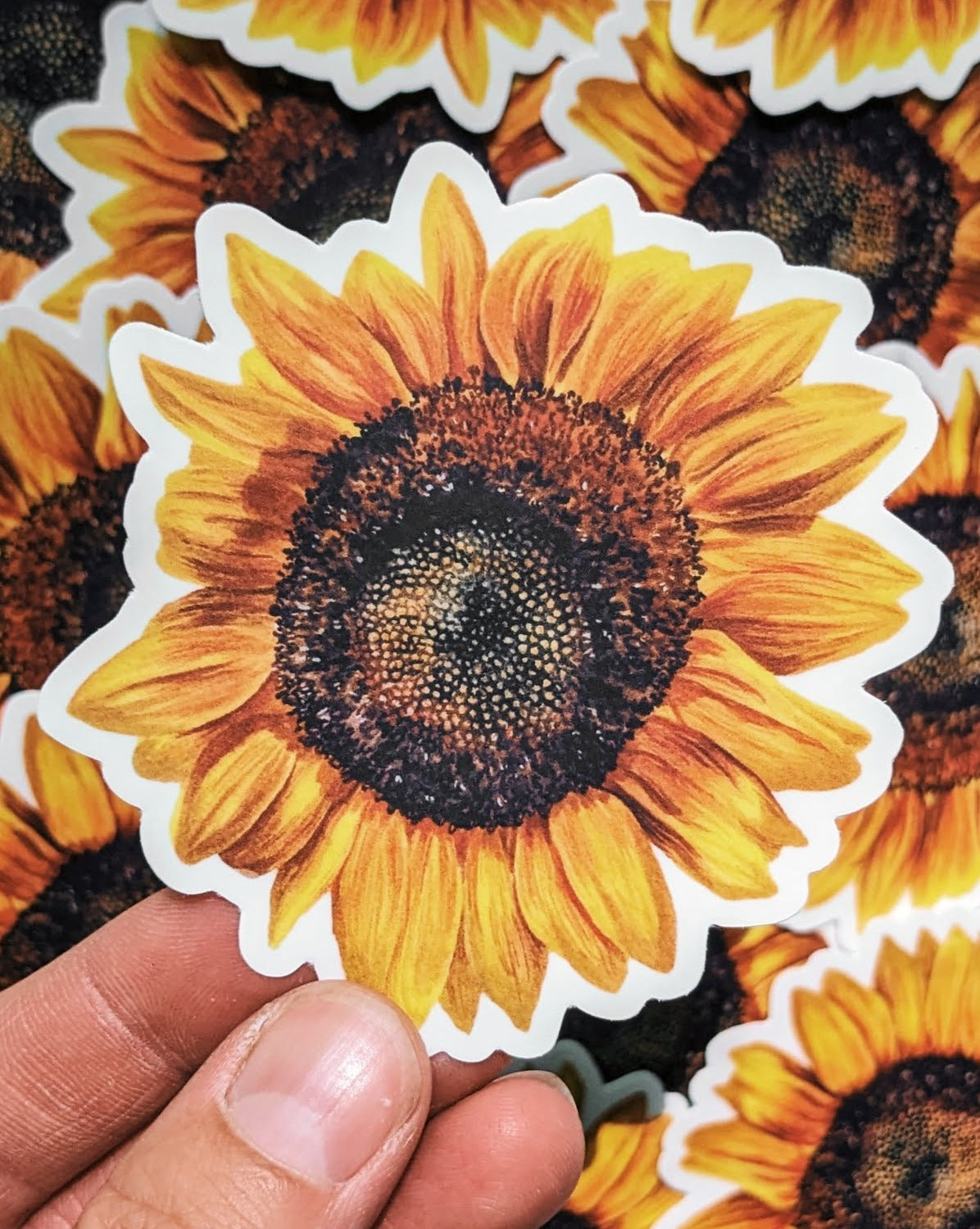 Sunflower | Vinyl Sticker - Kim Everhard Art