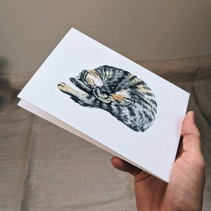 Sleeping Kitty - Greeting Cards - Kim Everhard Art