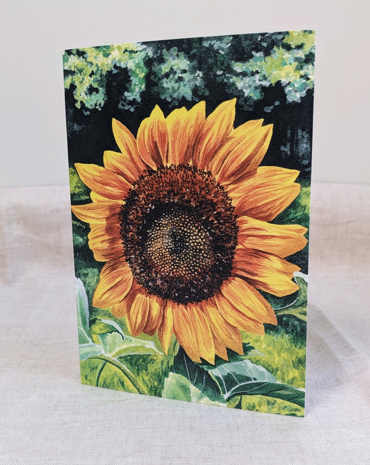 Sunflower - Greeting Cards - Kim Everhard Art