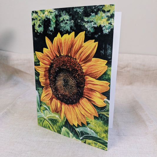 Sunflower - Greeting Cards - Kim Everhard Art