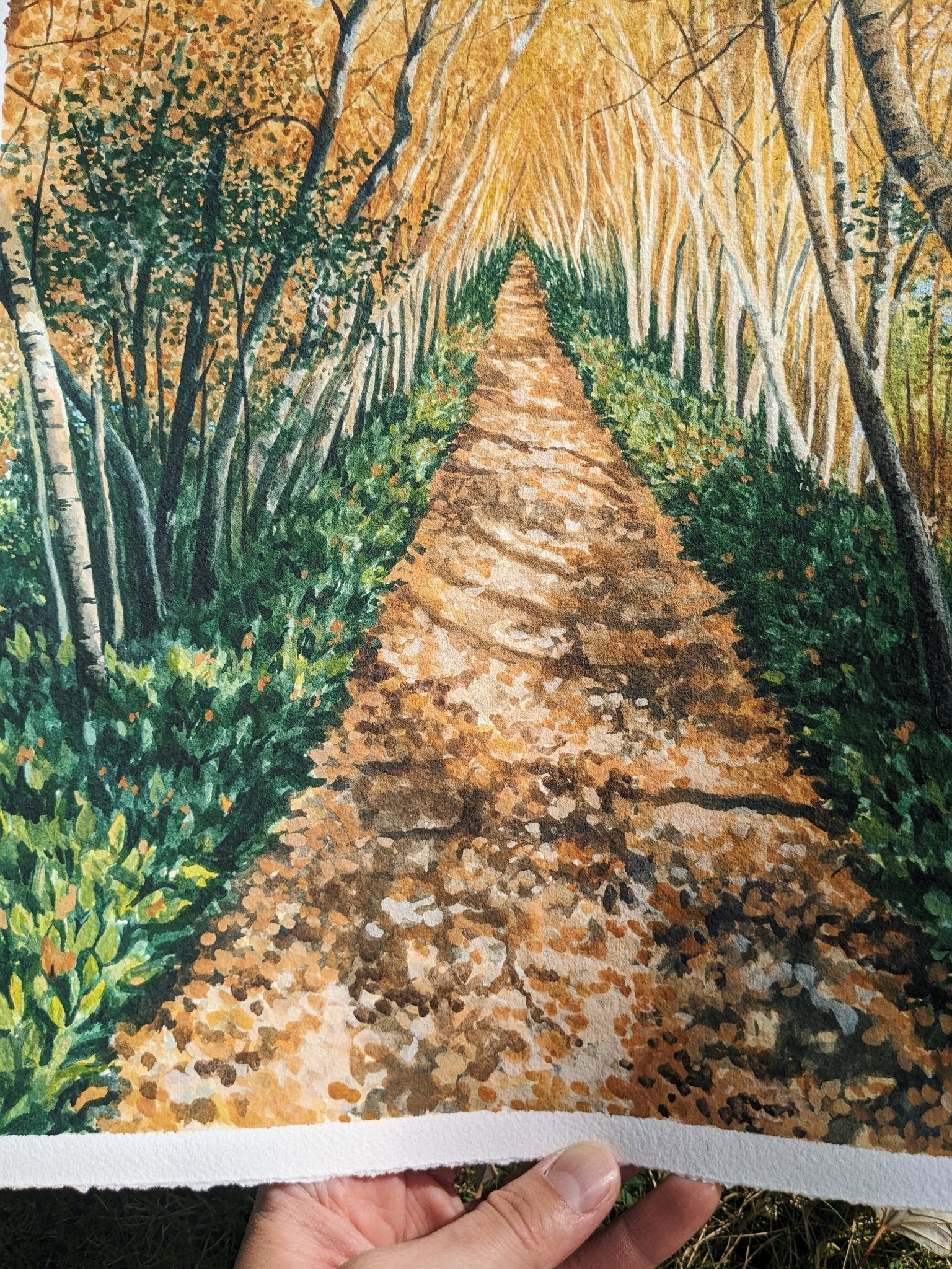 Autumn Birch Lane - Original Painting