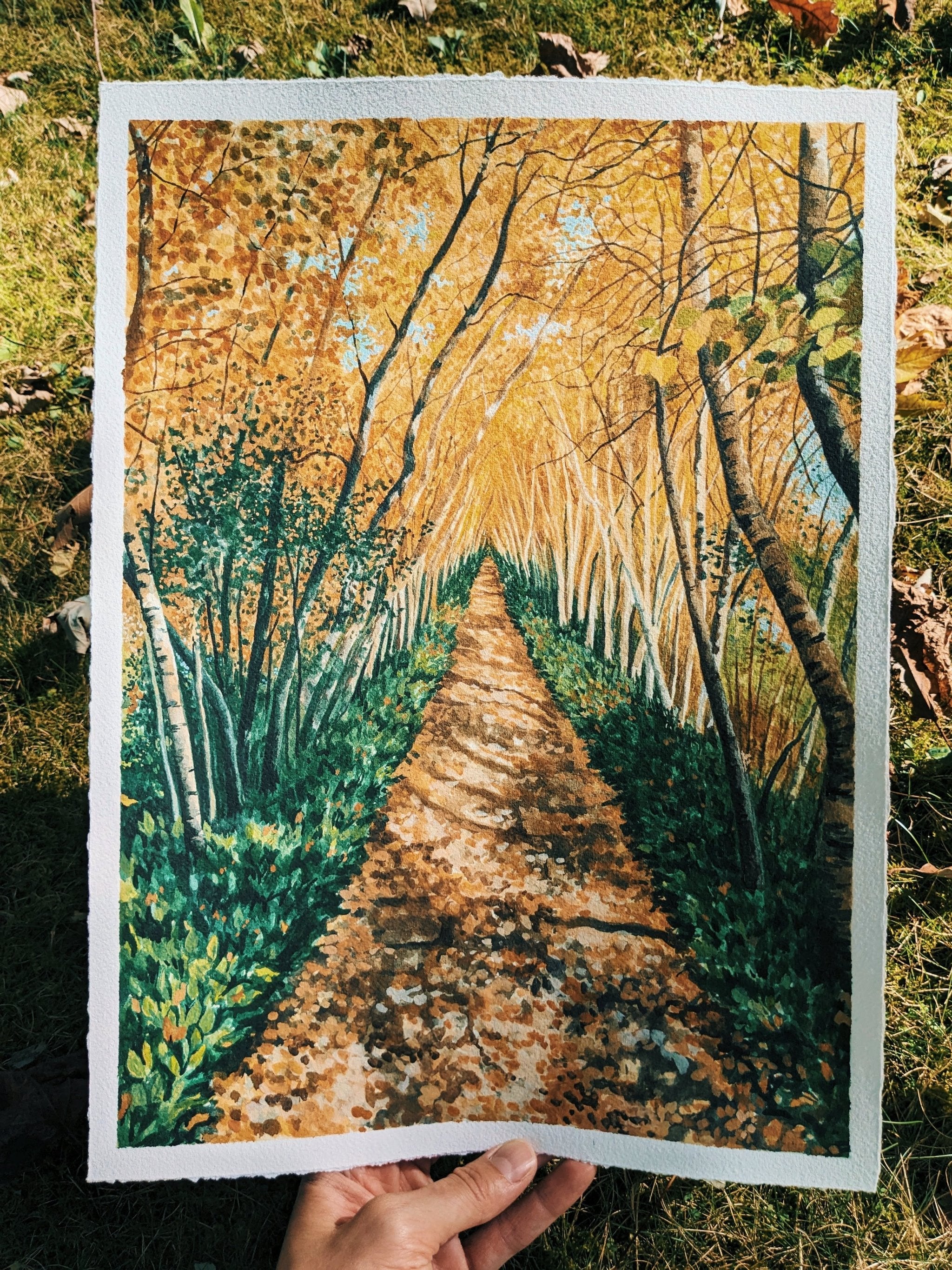 Autumn Birch Lane - Original Painting