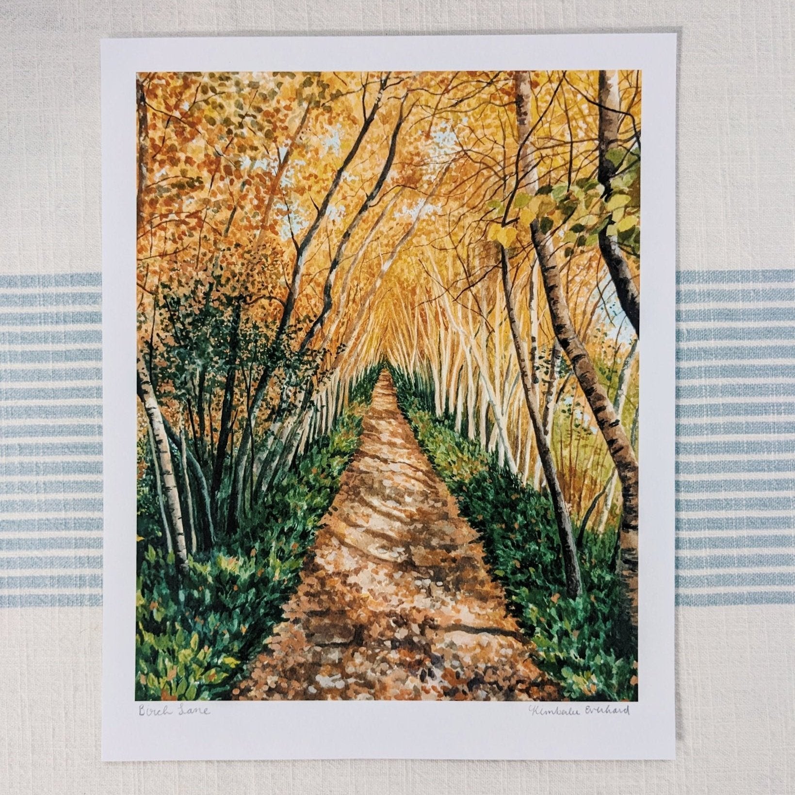 Autumn Birch Lane | Fine Art Print