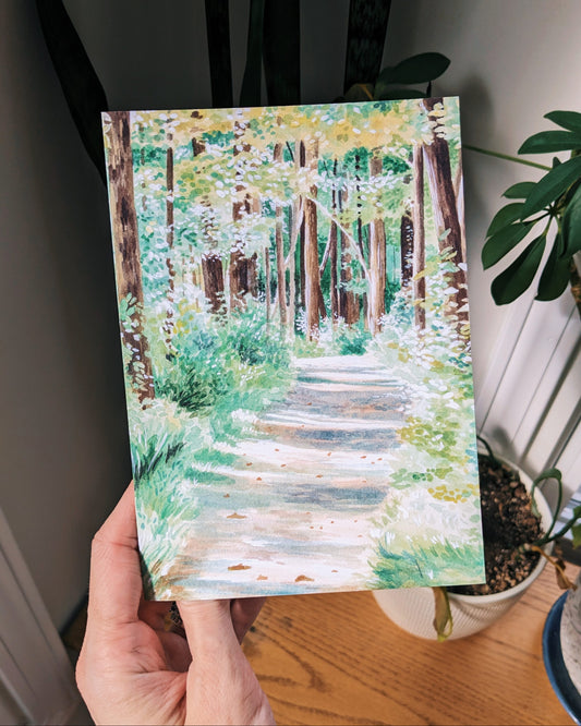 Summer Trails - Greeting Card