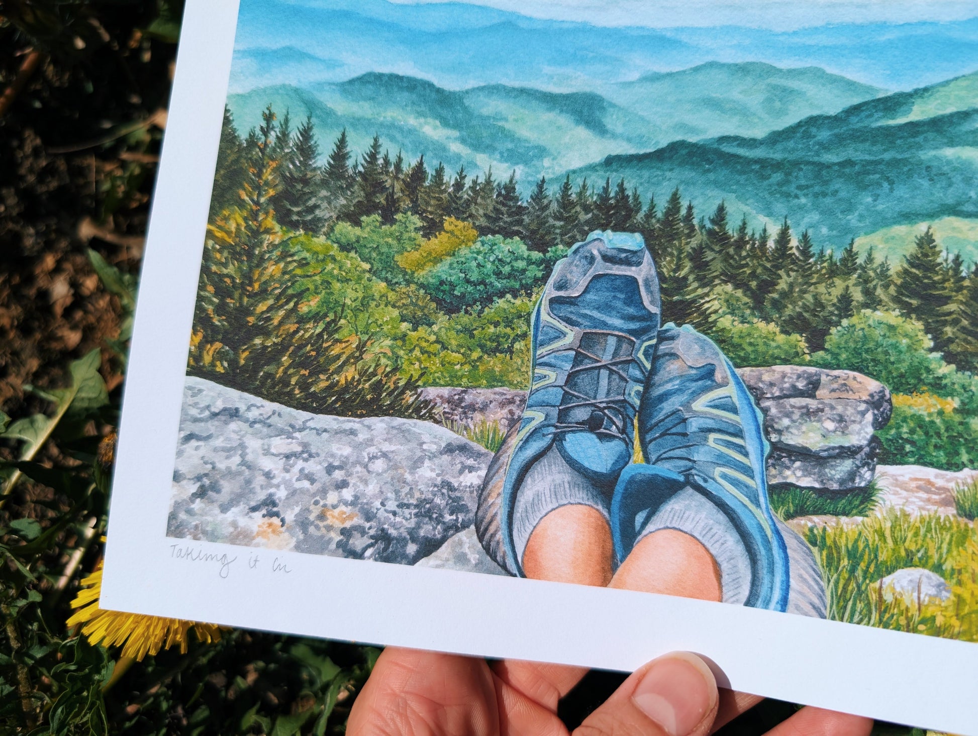 Taking It In | Fine Art Print - Kim Everhard Art