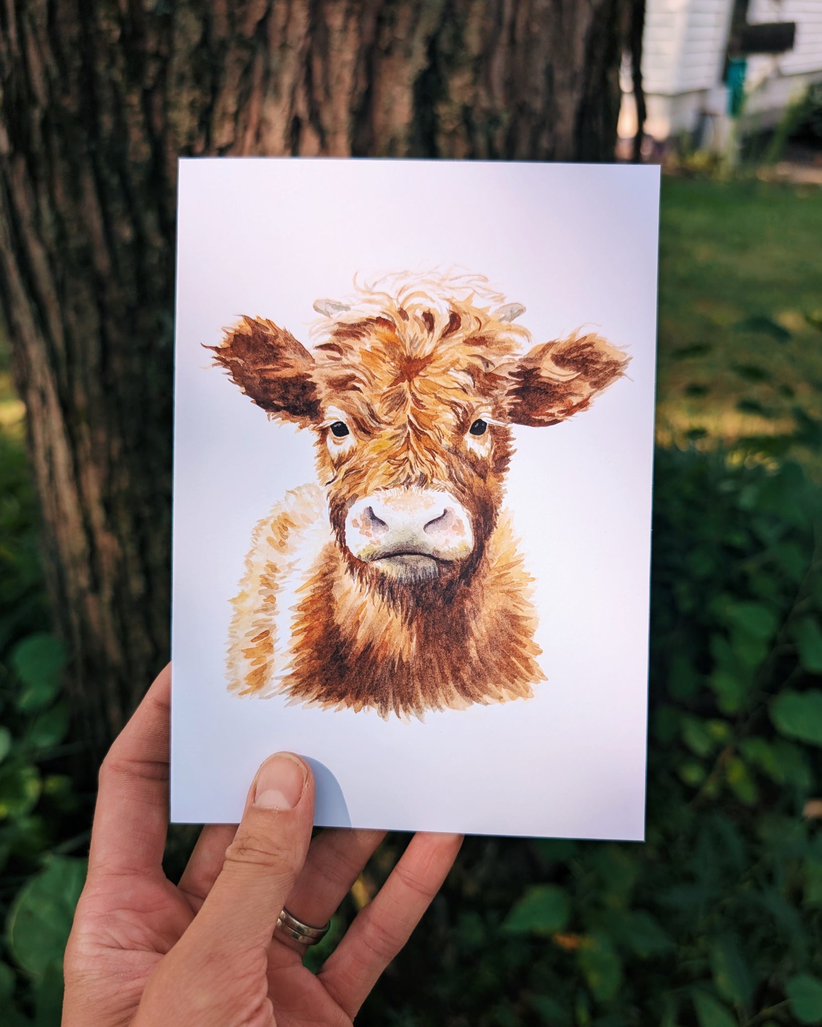 Hand holding a card with a cow illustration outdoors.