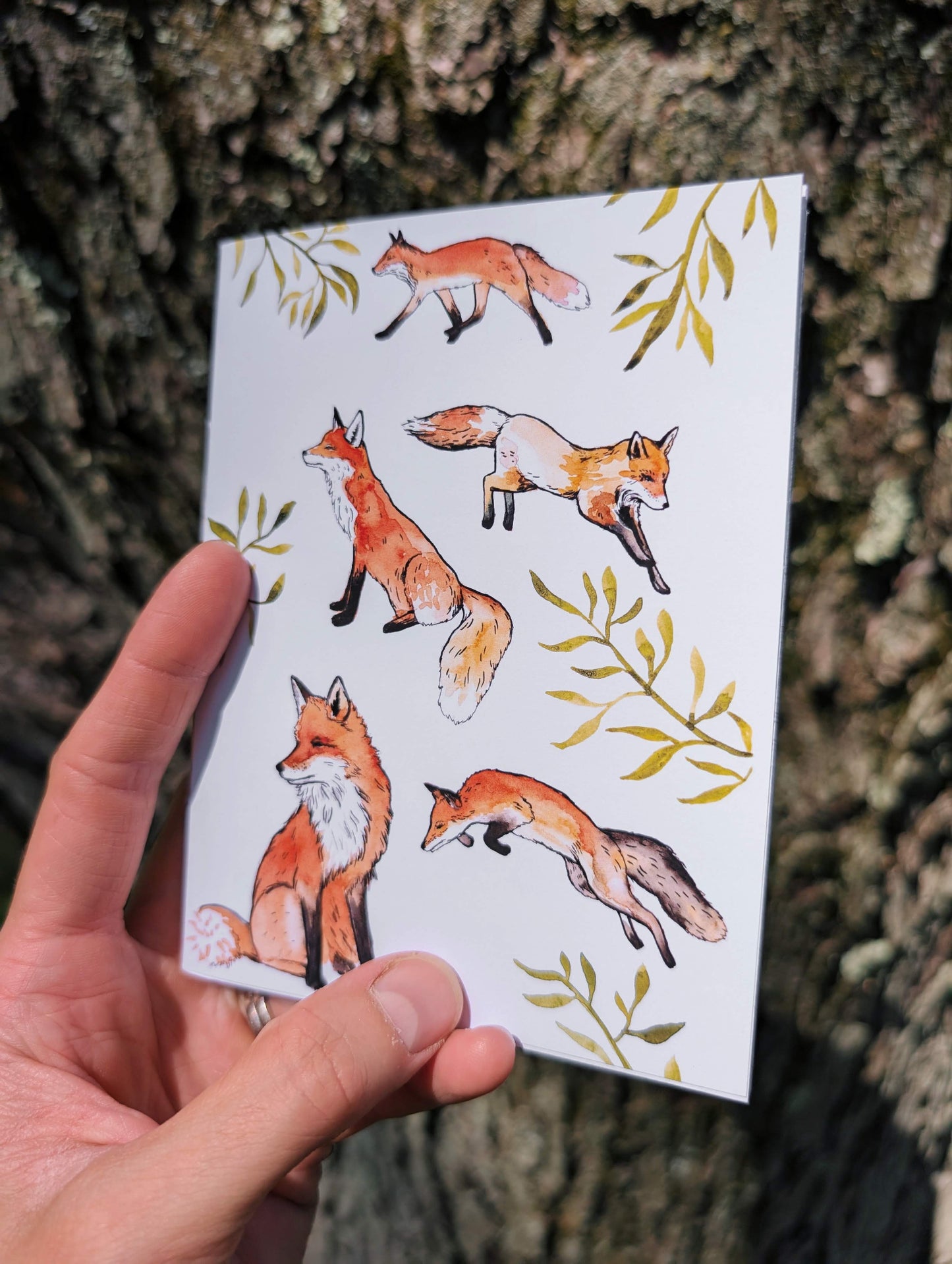 Hand holding a small notebook with fox illustrations against a tree bark background