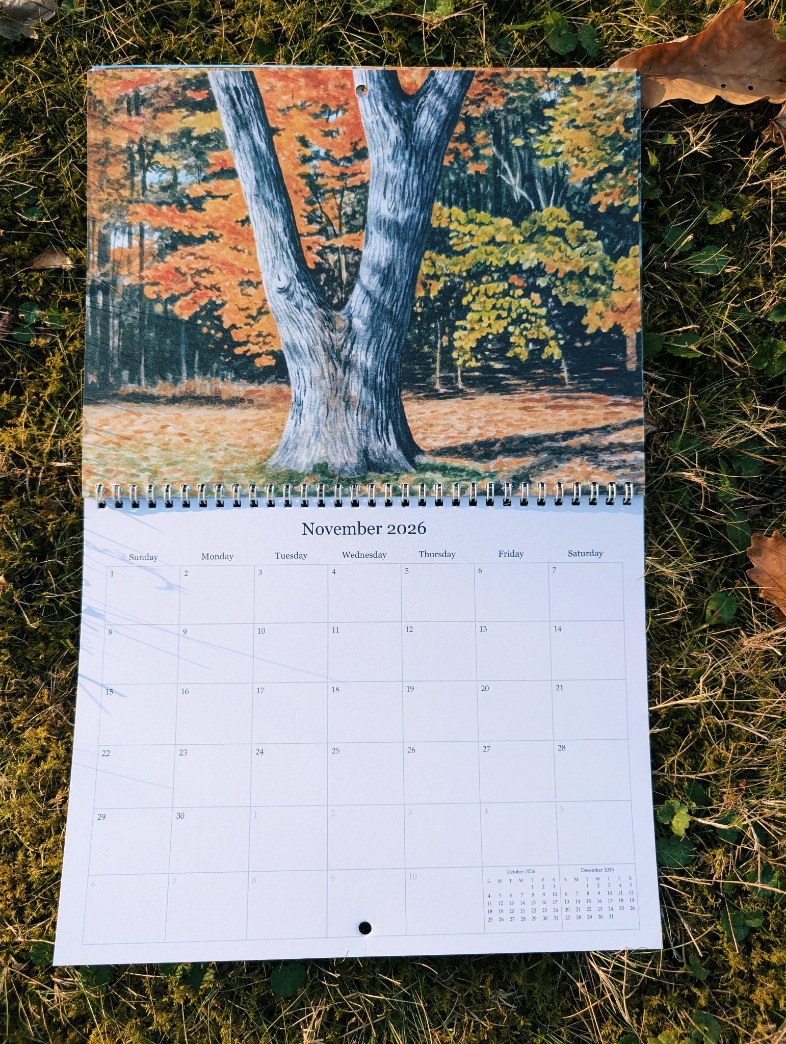 Calendar with a scenic autumn design on grass