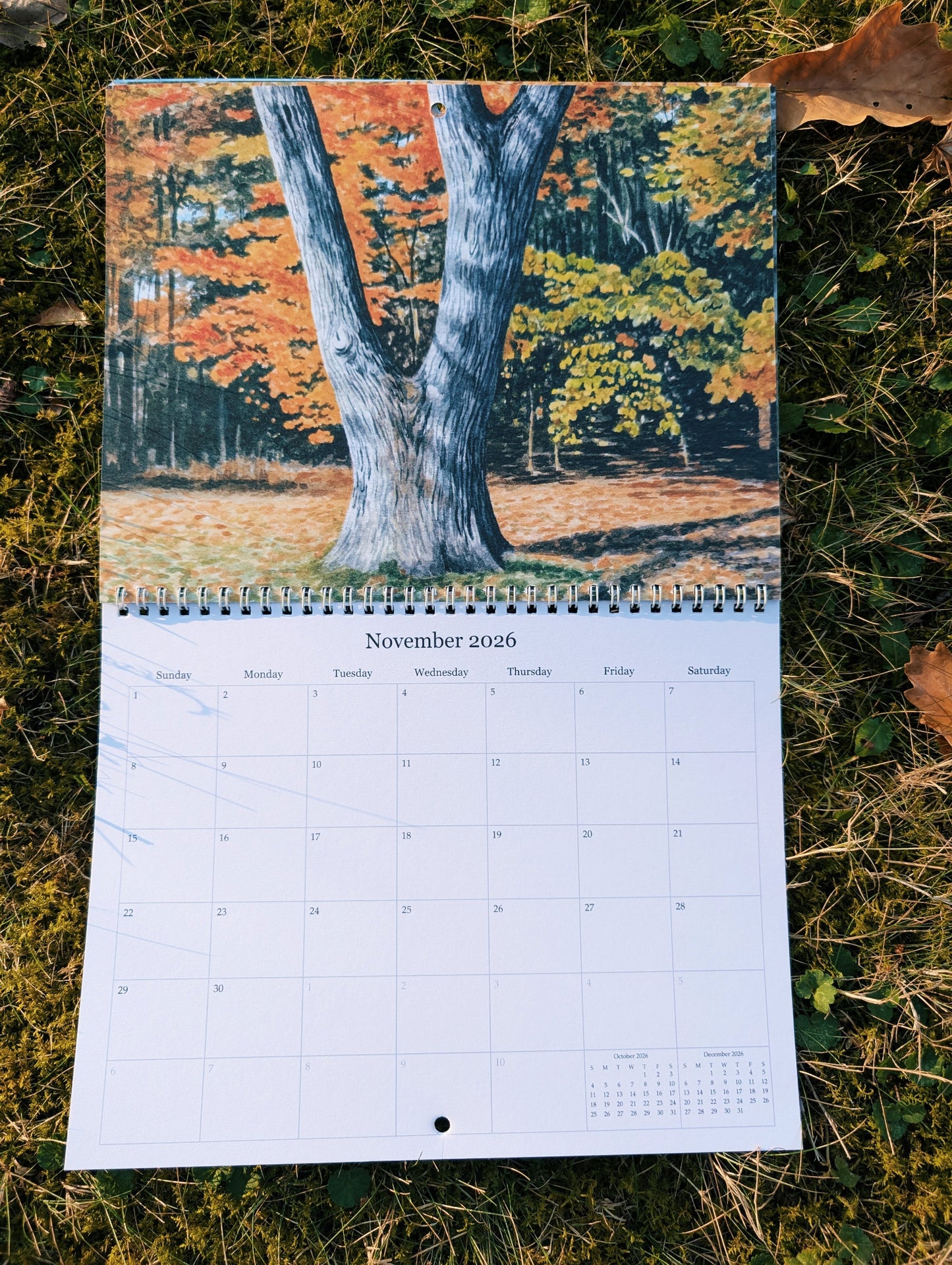 Calendar with a scenic autumn design on grass