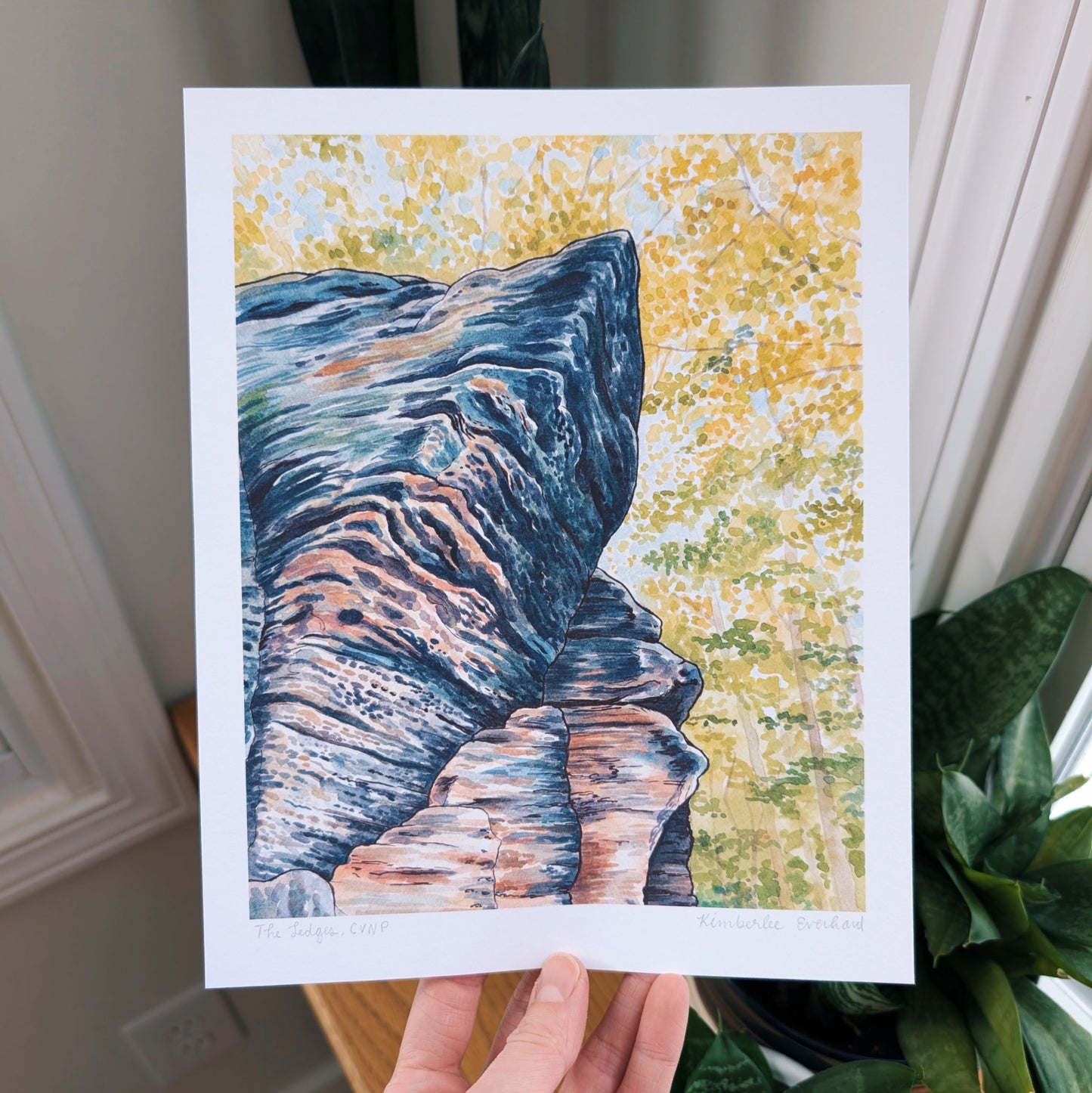 Art print of a rocky ledge held by a person, with a canopy of trees in the background.