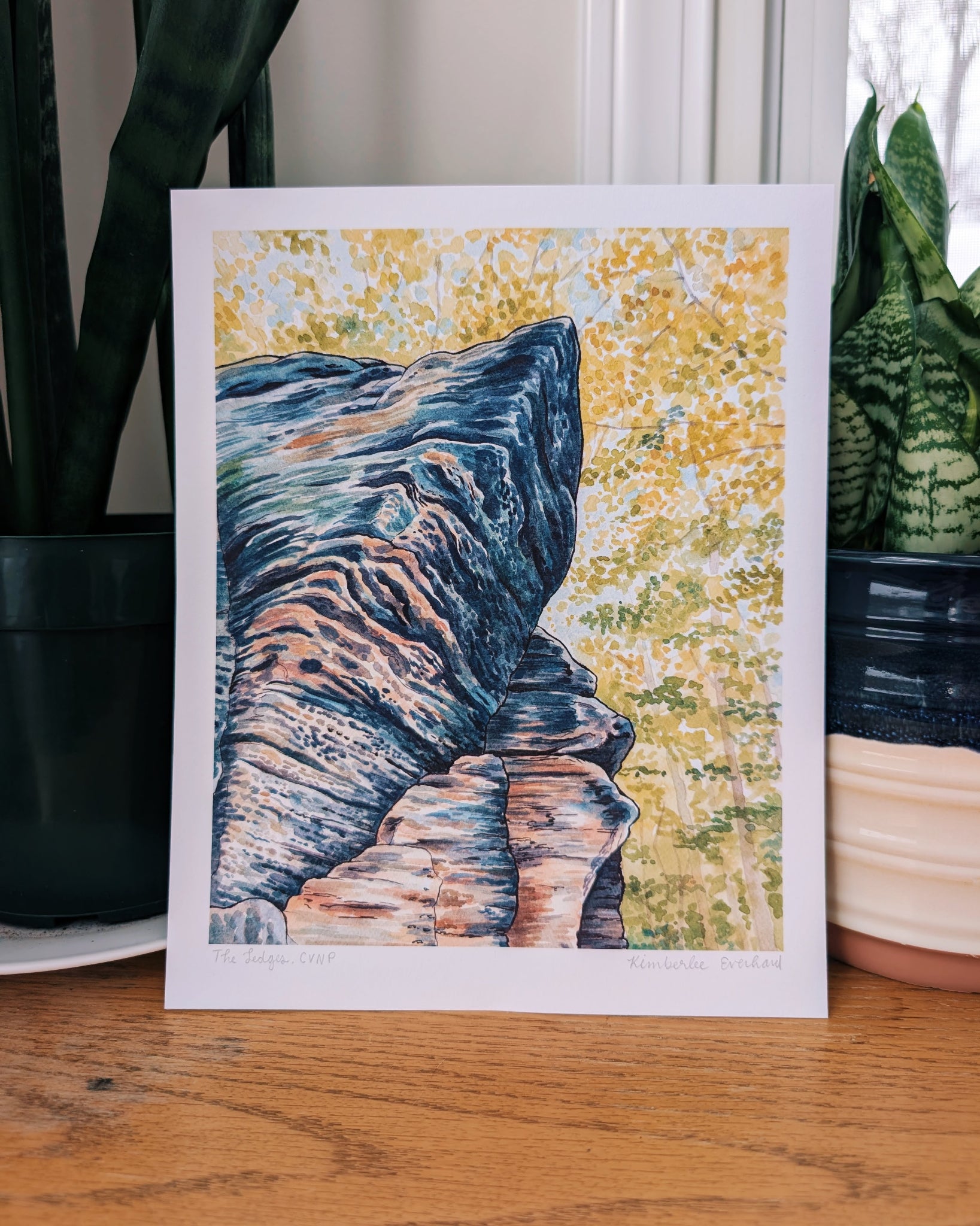 Art print of a rocky ledge held by a person, with a canopy of trees in the background.