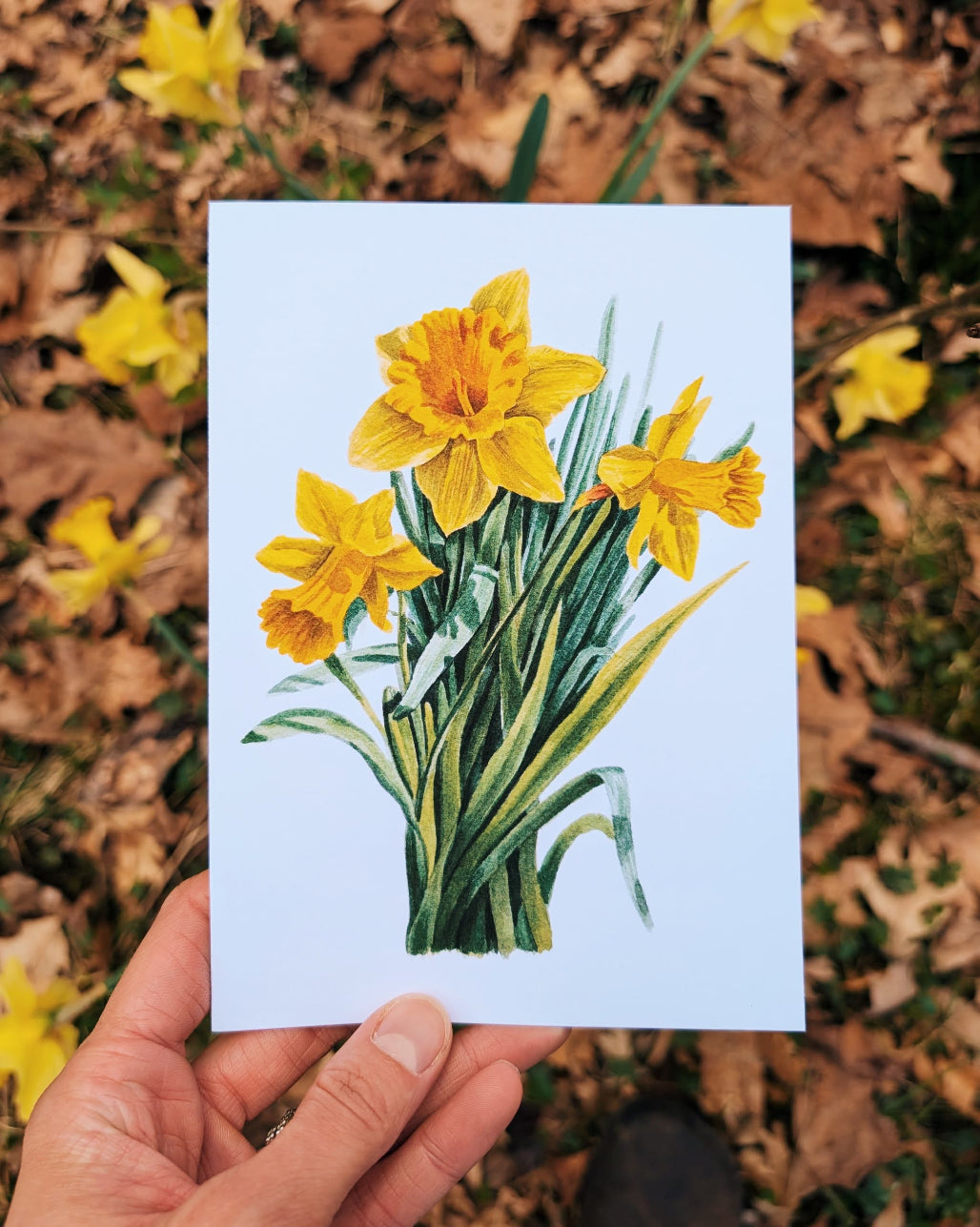 Hand holding a card with yellow daffodil illustration against a natural background