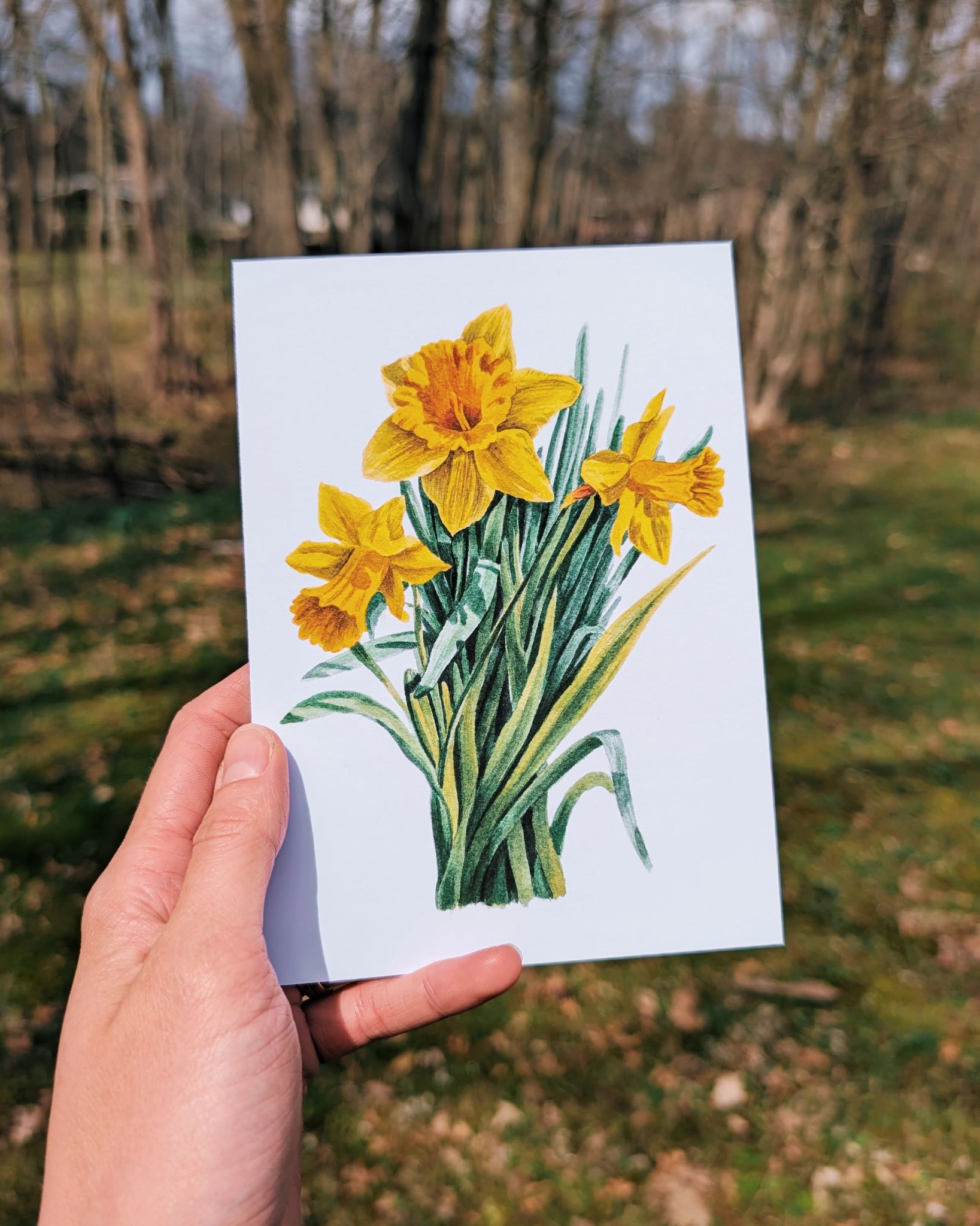 Hand holding a card with a yellow daffodil illustration outdoors.