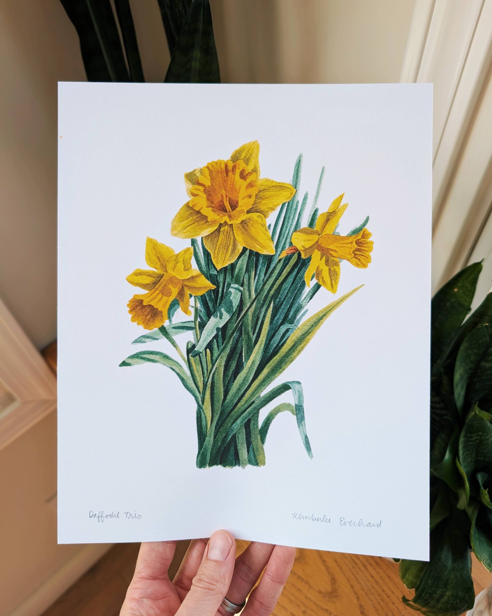 Daffodil Trio | Fine Art Print - Kim Everhard Art