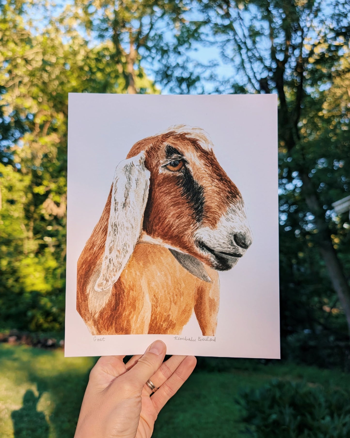 Hand holding a print of a goat's face with trees in the background