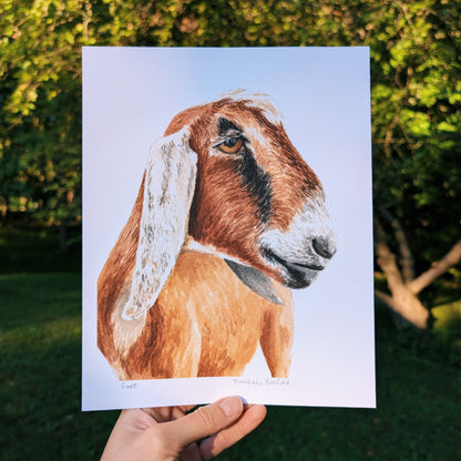 Print of a goat held against a natural background