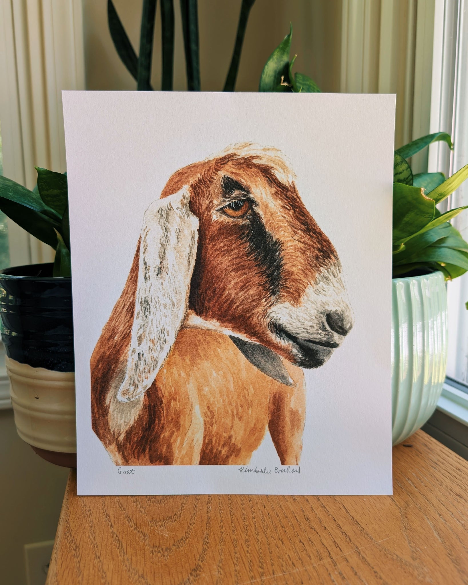 Goat | Fine Art Print - Kim Everhard Art