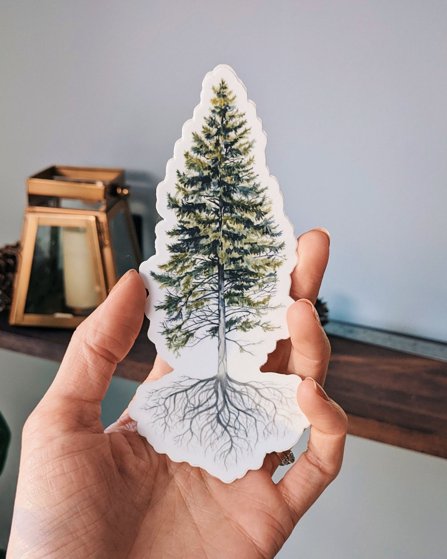 Pine Tree -  Vinyl Sticker - Kim Everhard Art