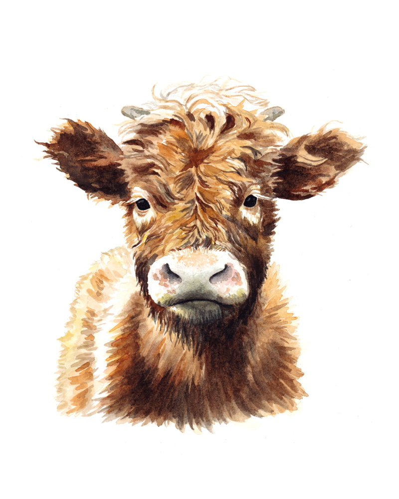 Original watercolor Shaggy Cow - Kim Everhard Art