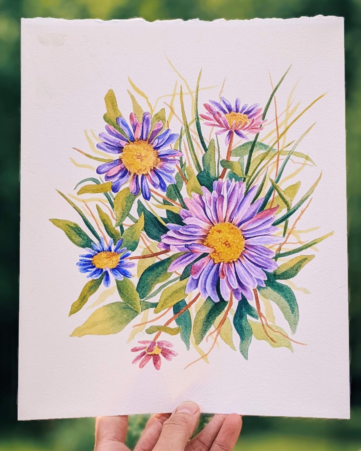 Alpine Daisies - Original Painting - Kim Everhard Art