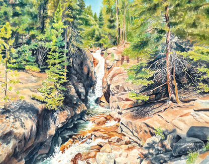 Chasm Falls - Original Painting - 16"x20" - Kim Everhard Art