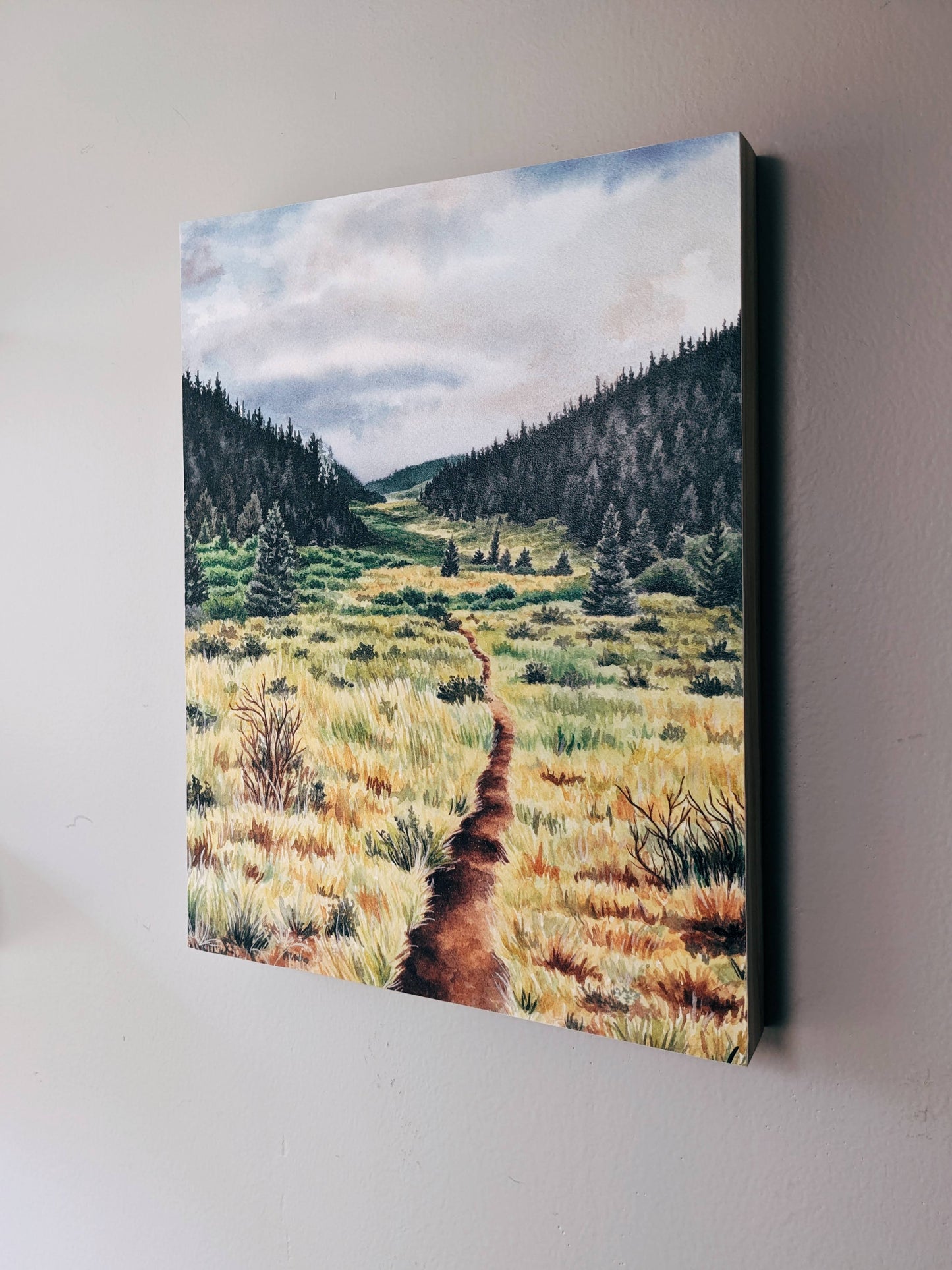 The Colorado Trail - Wood Mounted Print - Kim Everhard Art