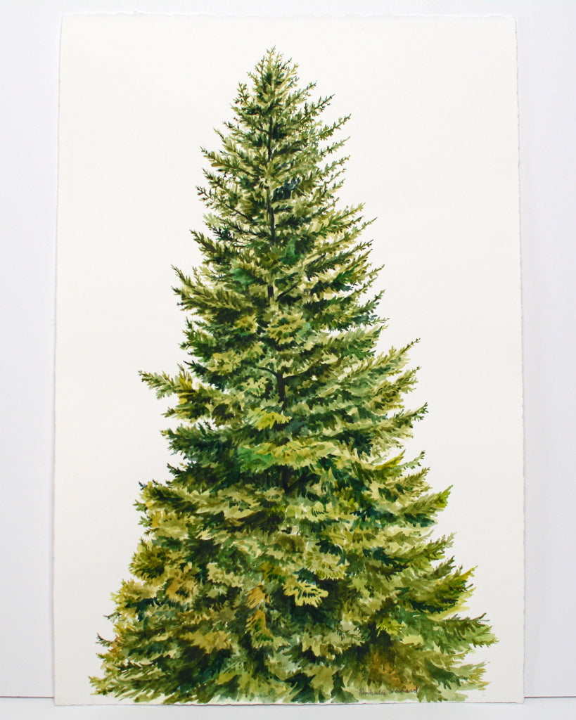 Balsam Tree - Original Painting - 12x18" - Kim Everhard Art