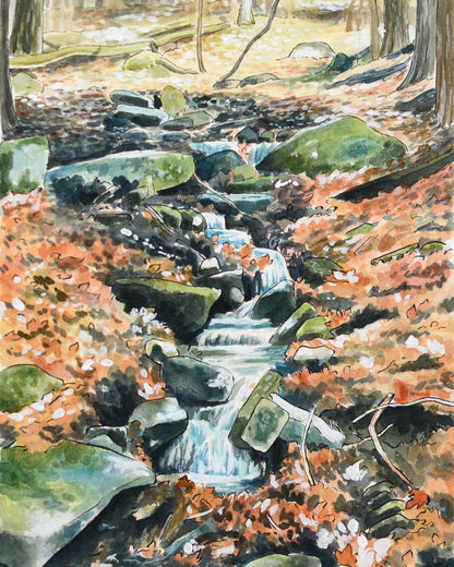 Stream in the Woods - Original Painting - 8.5x14" - Kim Everhard Art