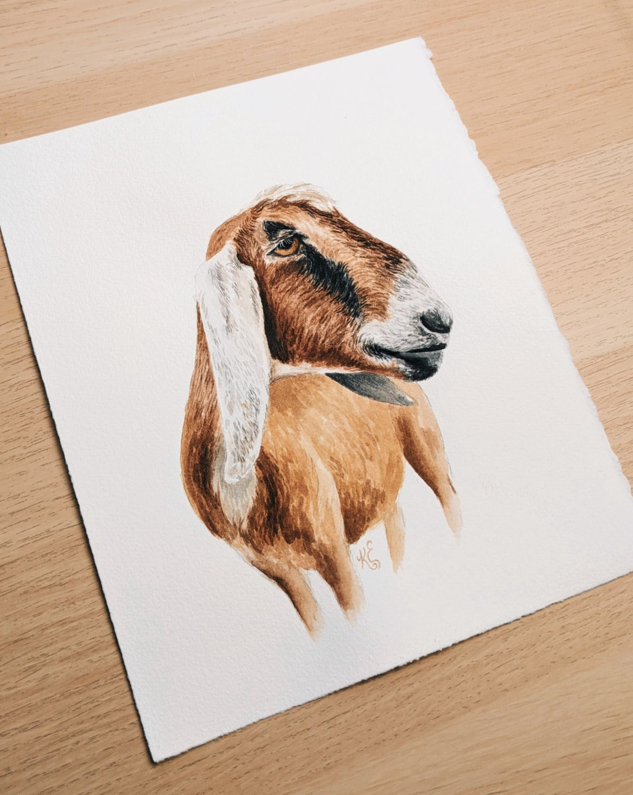 Goat - Original Watercolor - Kim Everhard Art