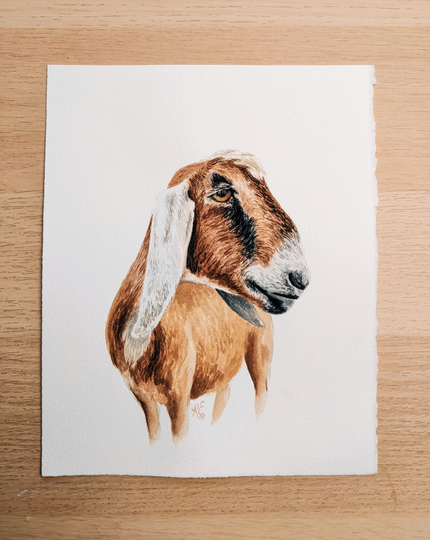 Goat - Original Watercolor - Kim Everhard Art