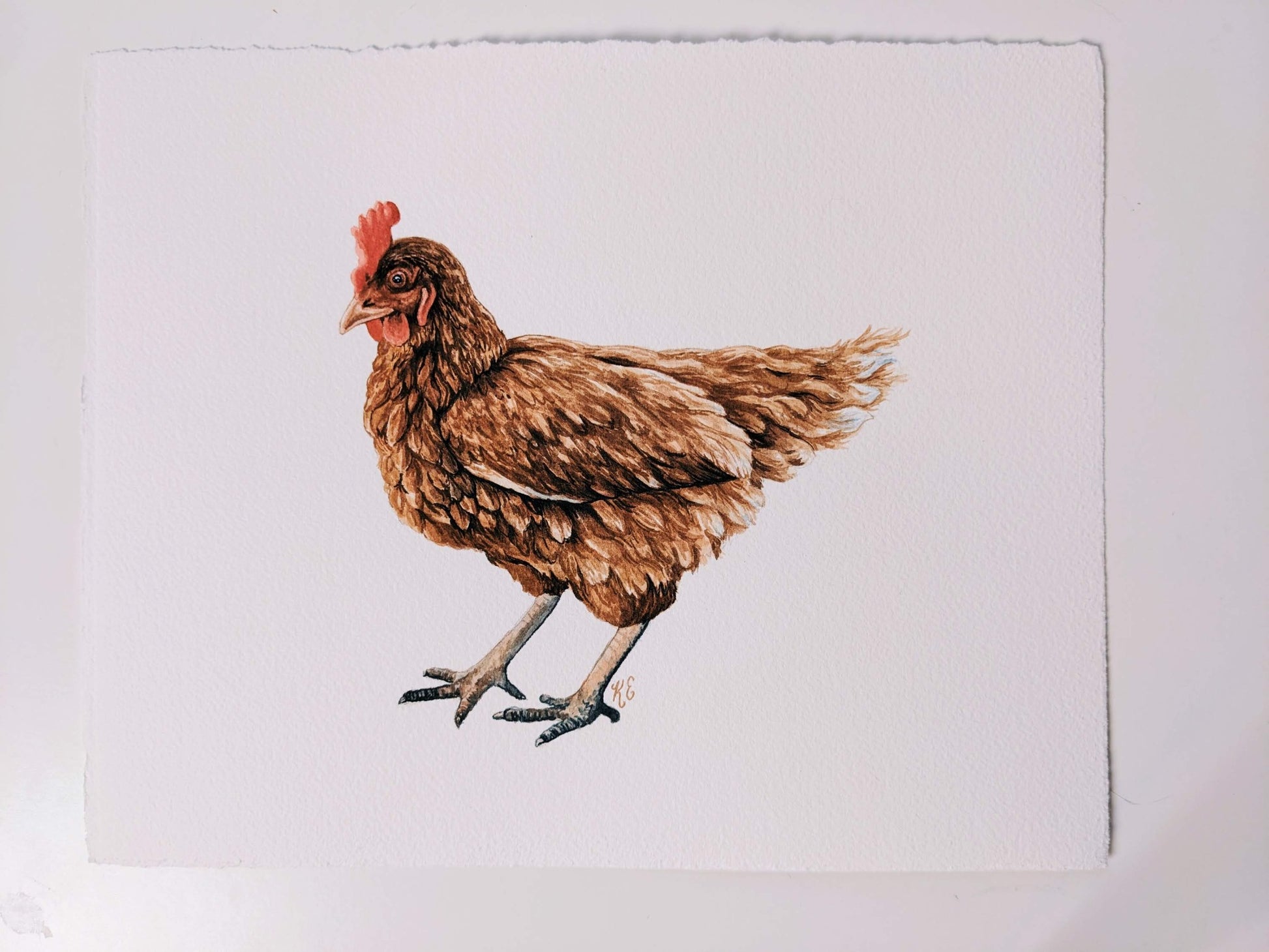Brown Chicken - Original Watercolor - Kim Everhard Art