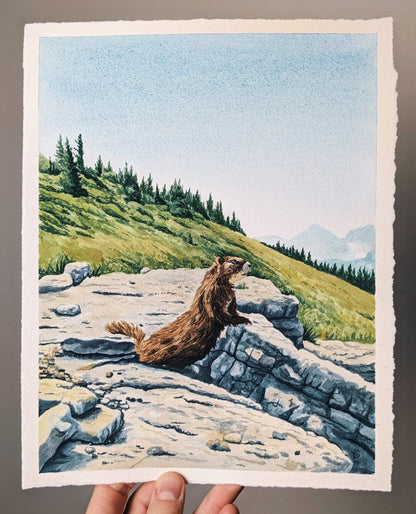Marmot in the Tetons - Original Watercolor - Kim Everhard Art