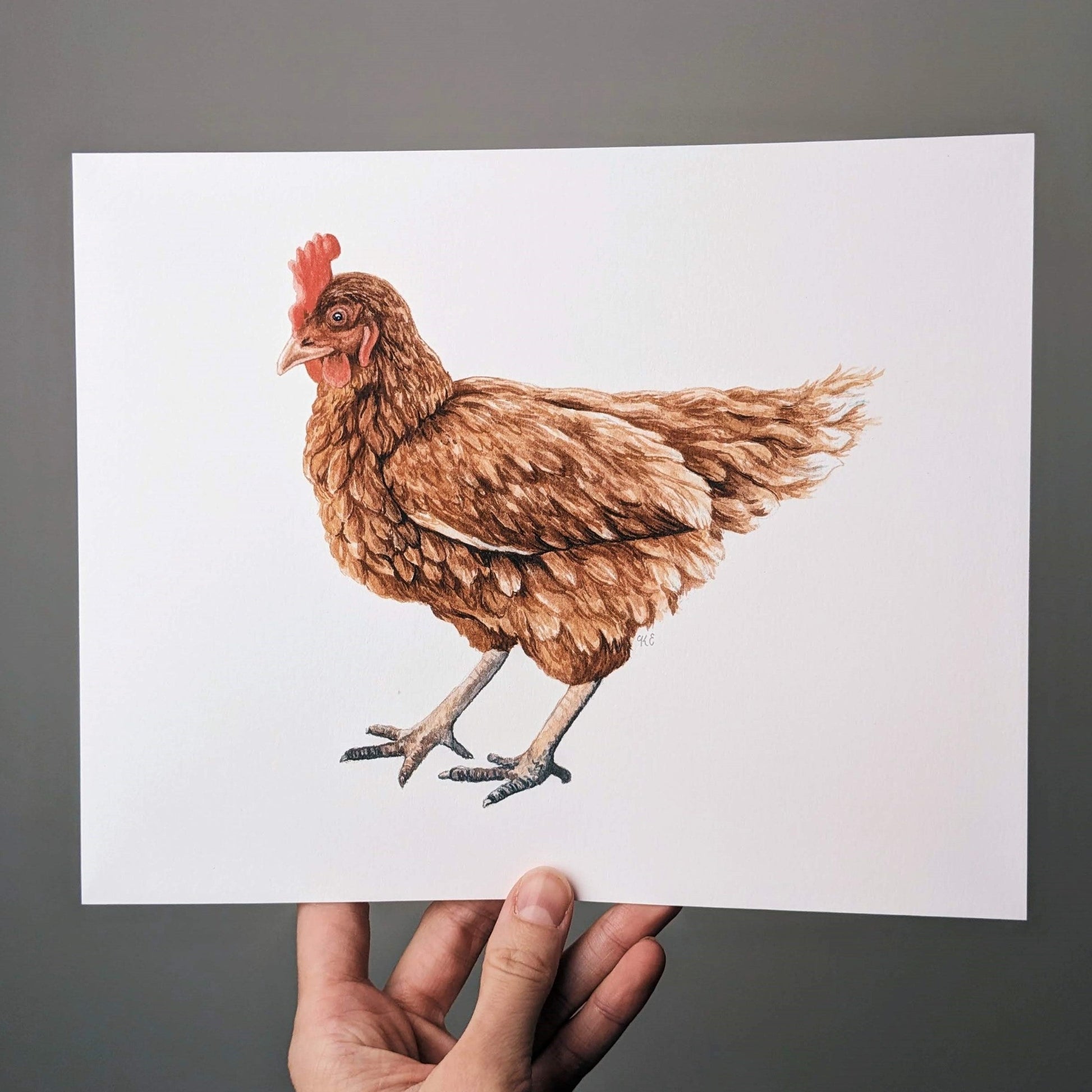 Chicken - Fine Art Print - Kim Everhard Art