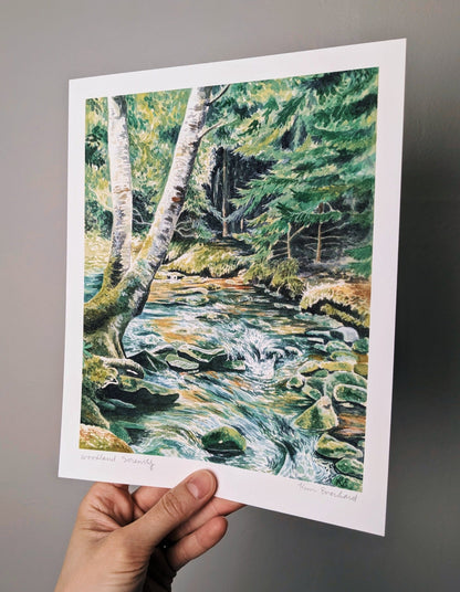 Woodland Serenity | Dolly Sods - Art Print - Kim Everhard Art