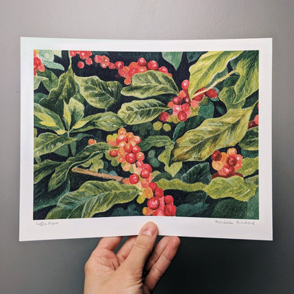 Coffee Plant - Fine Art Print - Kim Everhard Art