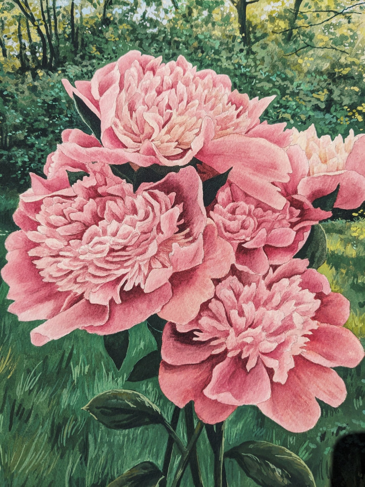 Peonies - Original Mixed Media - Kim Everhard Art